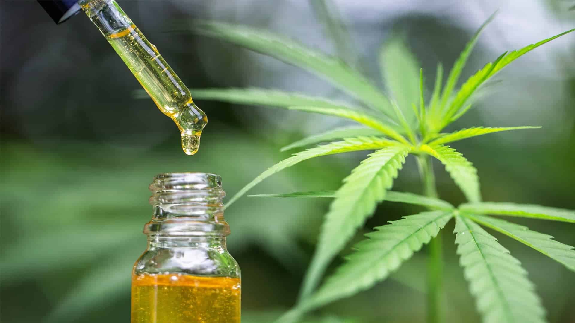 Selling CBD on Shopify: 2023's Best Guide